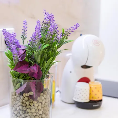 Casa Barros - Trindade * Oporto